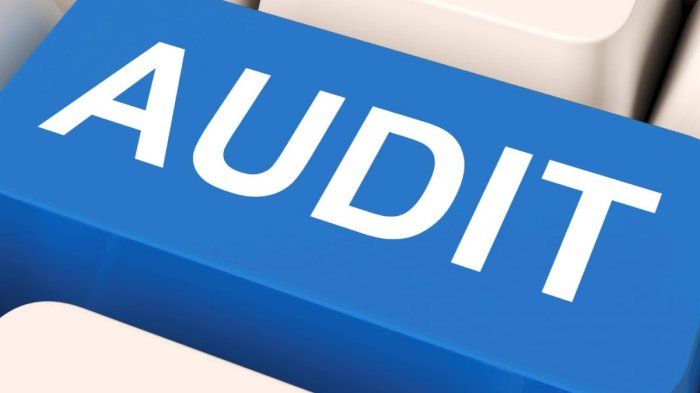 Организация и проведение внутреннего аудита системы менеджмента лаборатории в соответствии с                                     требованиями ГОСТ ISO/IEC 17025-2019